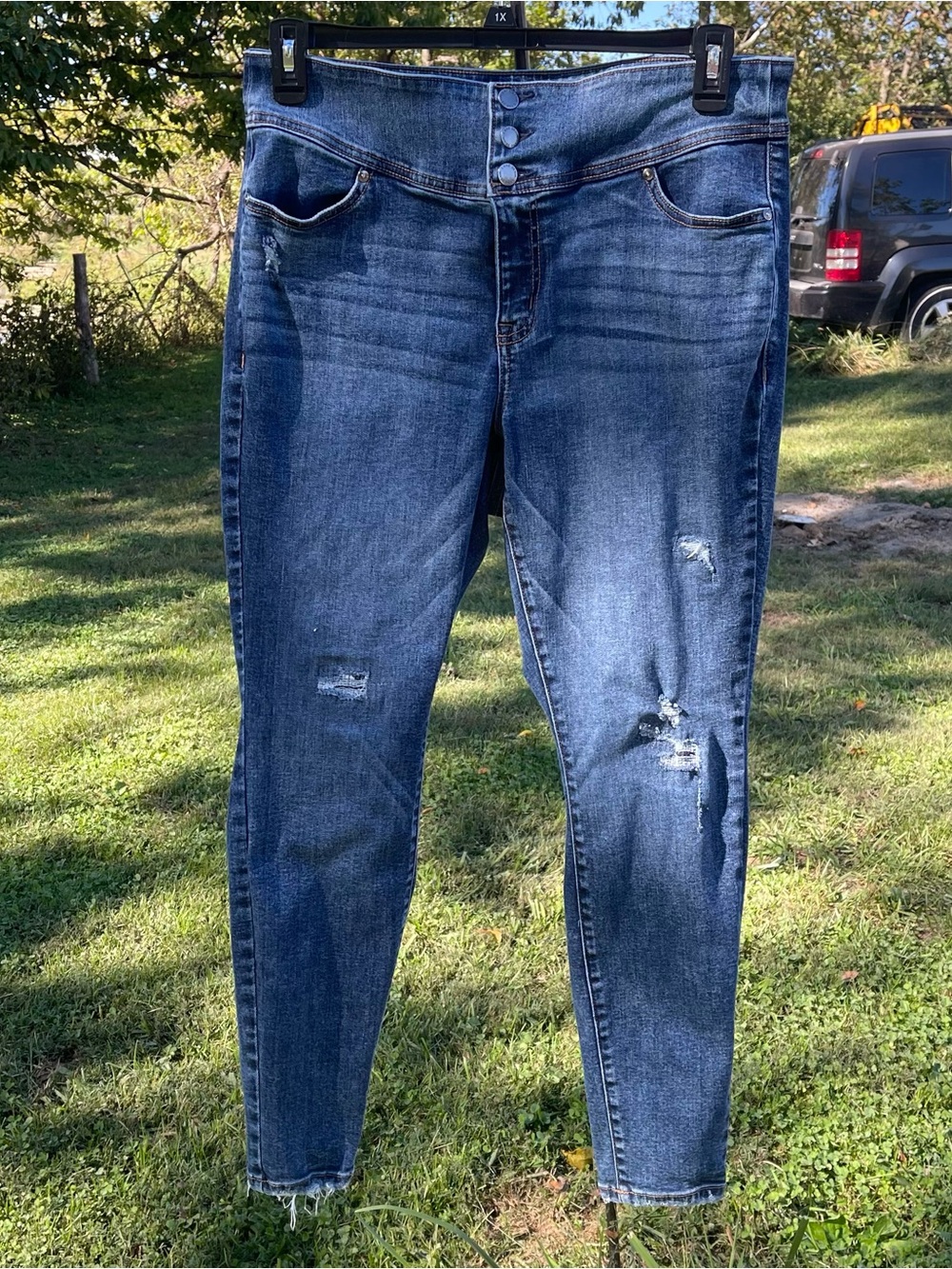 Lane Bryant High-Rise Distressed Women's Jeans in Dark Blue size 16